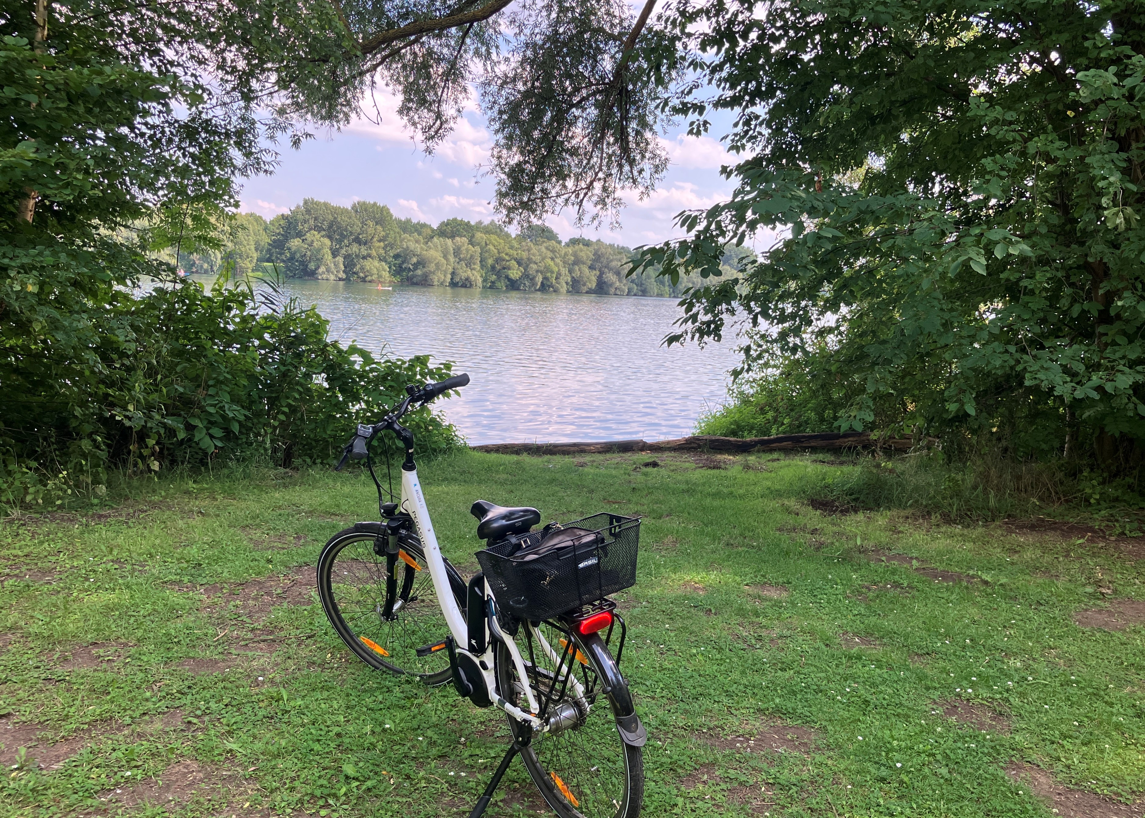 Morgens am See