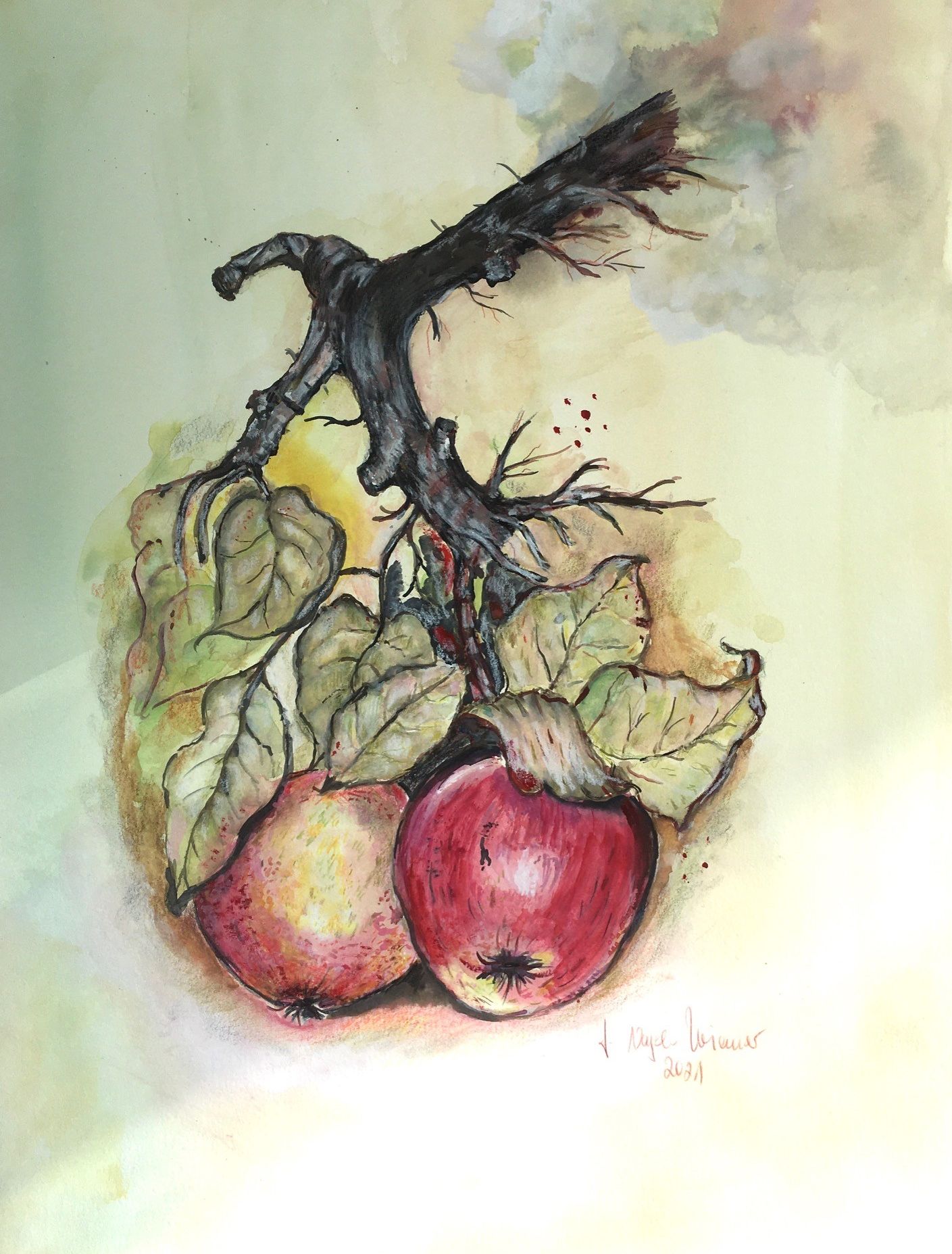 Der Herbst zieht durch`s Land