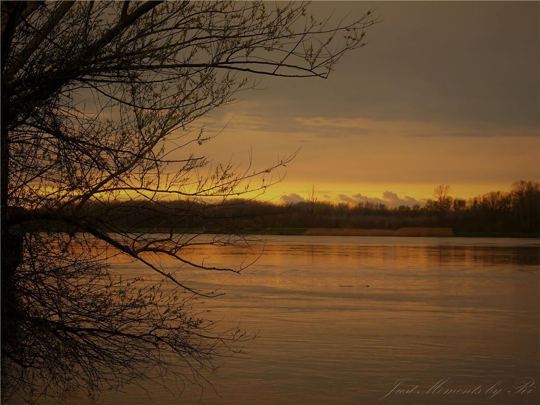 Hoffnungsbilder