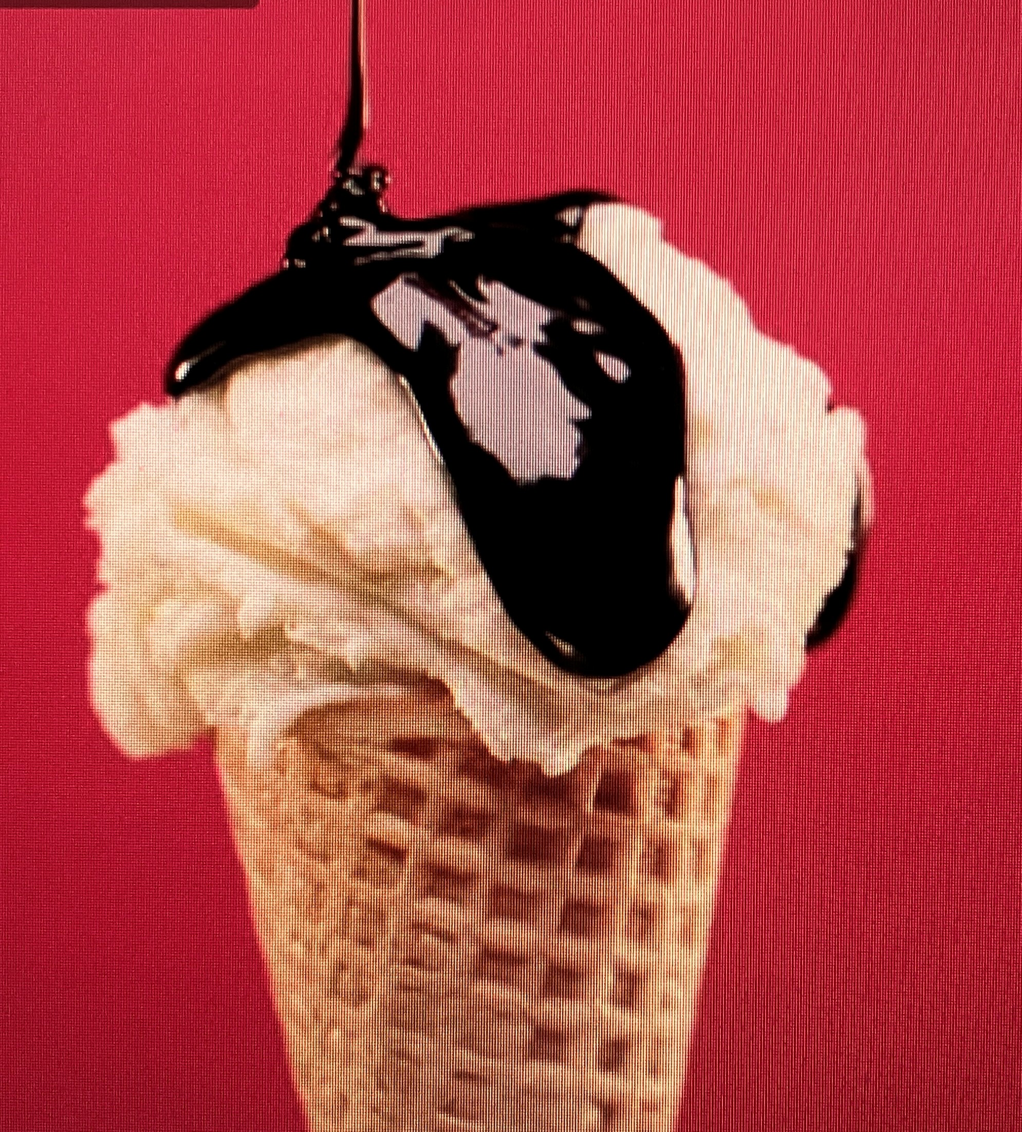 Eis geht immer