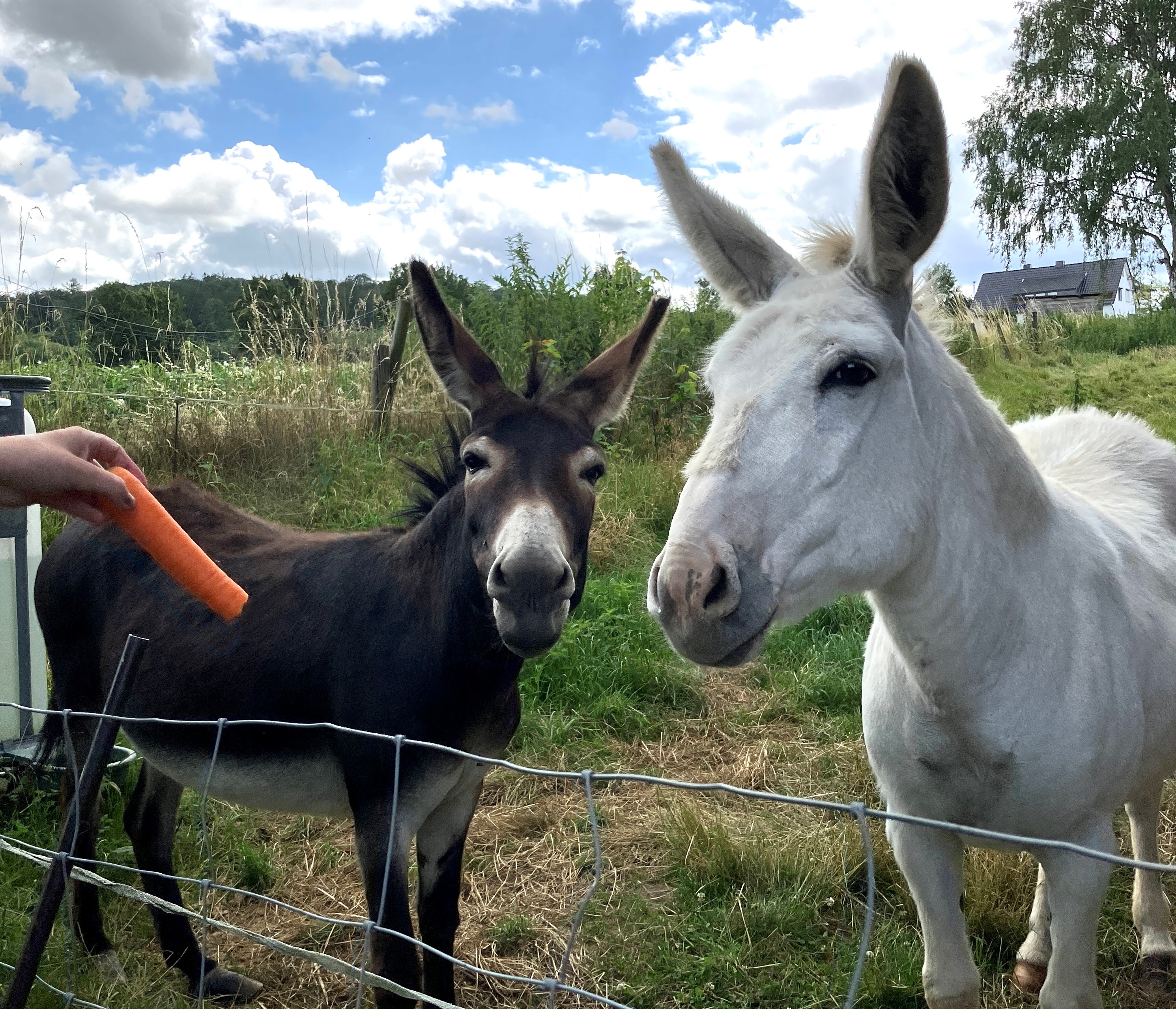 Ferienkinder