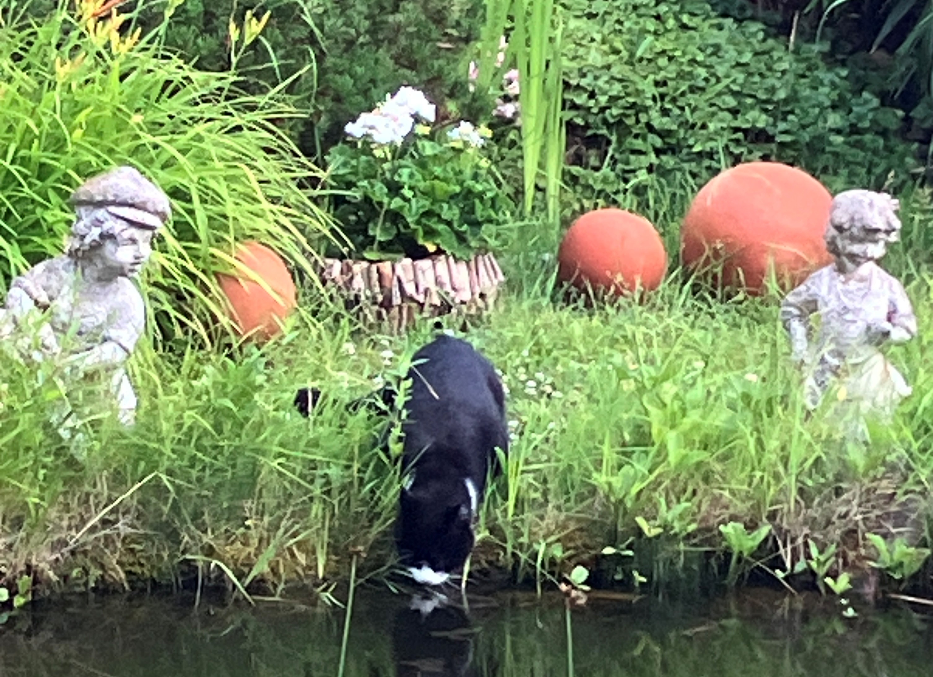 Jeden Tag, zur Morgenstunde