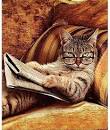 HOMMAGE AN DIE KATZE