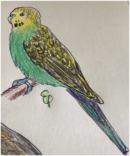 Ich hatte einen Vogel