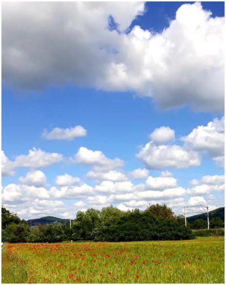 Wolkenwunsch