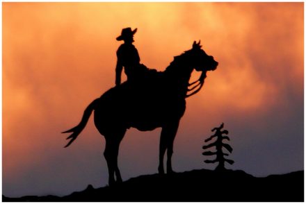 Der Prinz auf dem Pferd