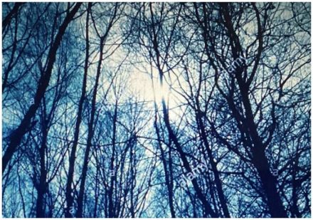 Der Sommer liegt im sterben
