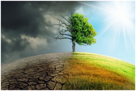 KLIMAWANDEL