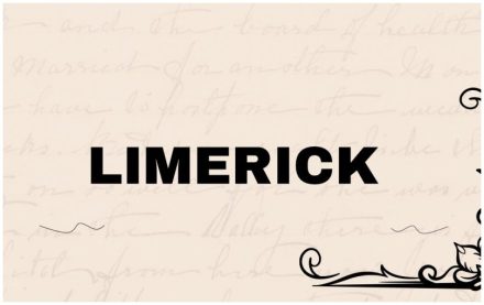 EIN LIMERICK