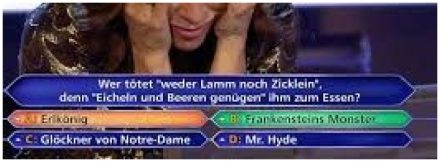 Im Ratefieber