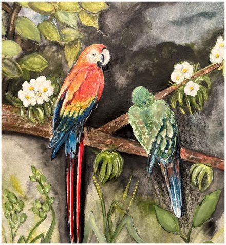Vogelpark Walsrode