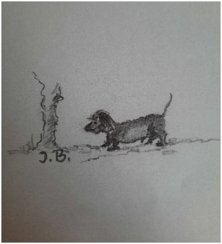 Aus dem Hundehimmel