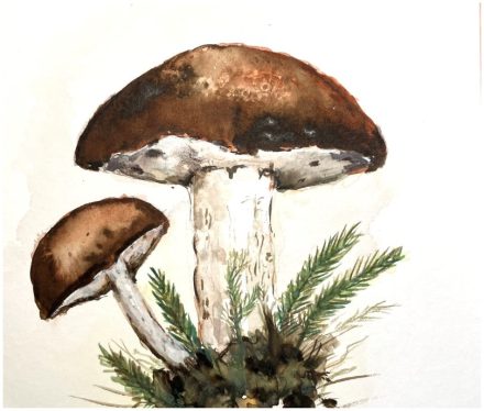 Wildgulasch mit Pilzen