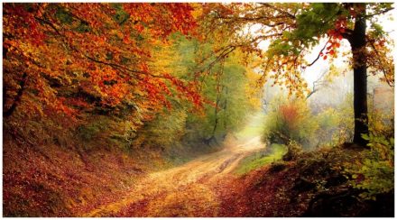 Herbststimmung