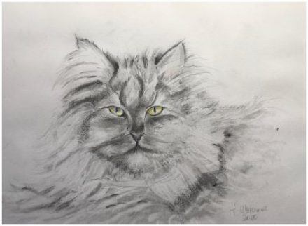 Kater Charly