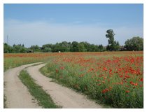 Schwerer Abschied