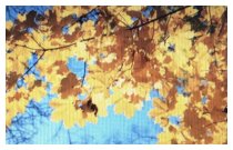 Herbstzauber