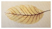 Blatt im Wind