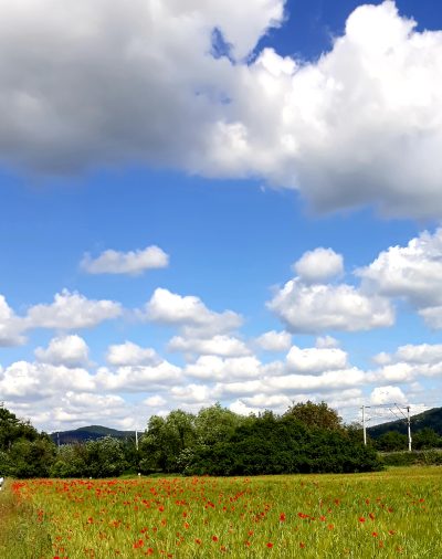 Wolkenwunsch