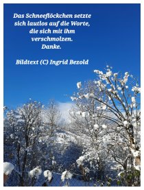 Schneeweiß
