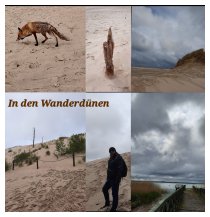 In den Wanderdünen