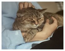 Wenn die Nachbarn fröhlich feiern