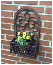 Nur die Harten kommen in den Garten