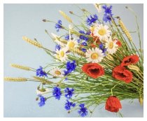 Ein Kornfeld wie in alter Zeit