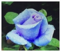 Blüten