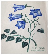 Die letzte blaue Blume