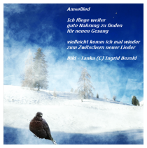Amsellied