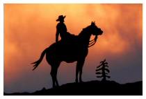 Der Prinz auf dem Pferd