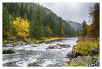 Der Fluss des Lebens