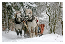 Im Weihnachts-Wunderland