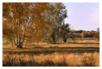 Leuchtender bunter Herbst