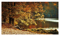 Herbststimmung