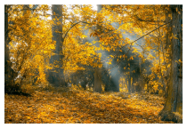 Goldener Oktober