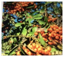 Einfach Herbst