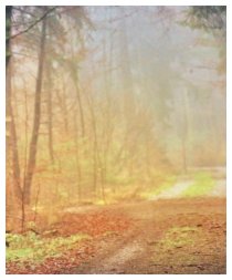 Ein Herbsttag voller Gold