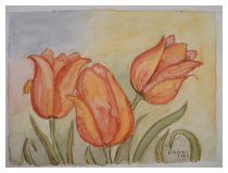 Ein Tulpenmeer