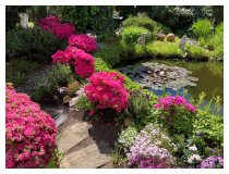 Morgens im Garten
