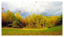 Herbststurm