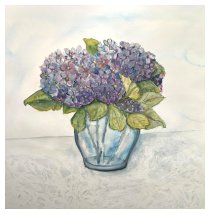 Wie eine Hortensie
