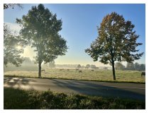 Herbstkaleidoskop