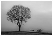 Novembergrau
