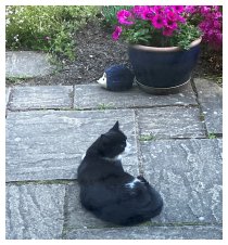 Der erste Tag im Juni