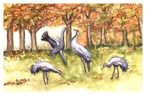 Im Herbst des Lebens