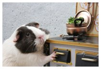 MEINE SAUN