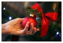 Weihnachtsüberraschung