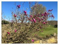 Durch die Natur